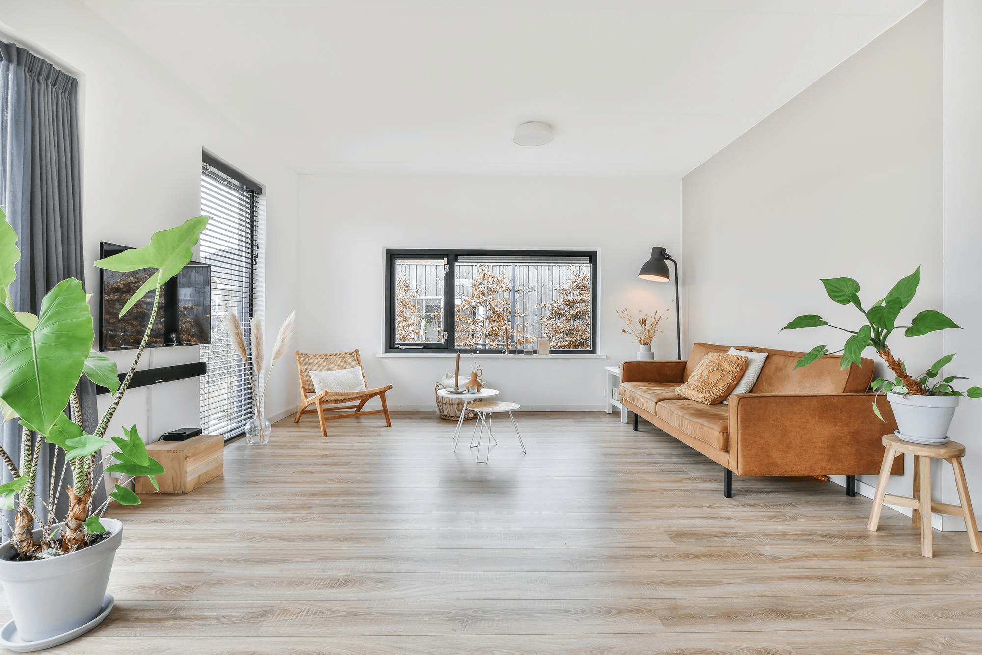 Crawl Space Services in Lacey, WA